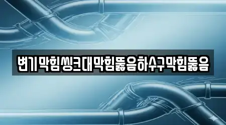 변기막힘씽크대막힘뚫음하수구막힘뚫음