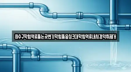 하수구막힘역류뚫는곳변기막힘뚫음싱크대막힘역류내시경악취제거
