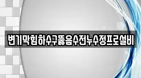 변기막힘하수구뚫음수전누수정프로설비