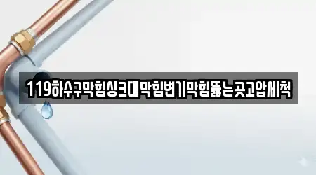 119하수구막힘싱크대막힘변기막힘뚫는곳고압세척