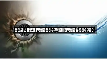 1등업체변기싱크대막힘뚫음하수구역류배관막힘뚫는곳하수구뚫어