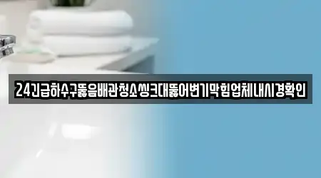 24긴급하수구뚫음배관청소씽크대뚫어변기막힘업체내시경확인