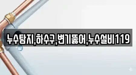 누수탐지,하수구,변기뚫어,누수설비119