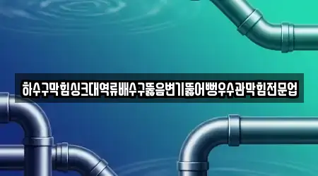 하수구막힘싱크대역류배수구뚫음변기뚫어뻥우수관막힘전문업