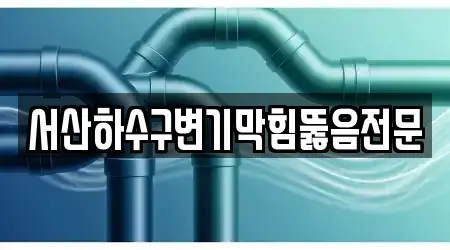 충남 서산시 읍내동에서 변기막힘 17곳을 업체 확인