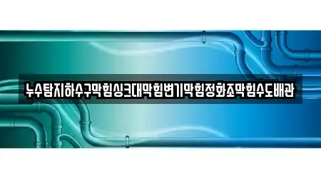 누수탐지하수구막힘싱크대막힘변기막힘정화조막힘수도배관