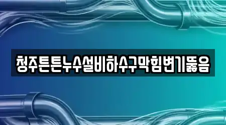 청주튼튼누수설비하수구막힘변기뚫음