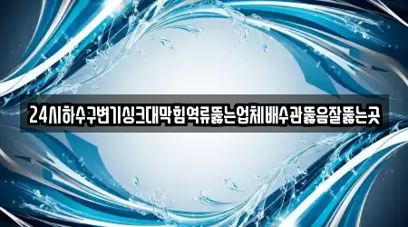 24시하수구변기싱크대막힘역류뚫는업체배수관뚫음잘뚫는곳