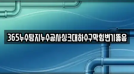 365누수탐지누수공사싱크대하수구막힘변기뚫음
