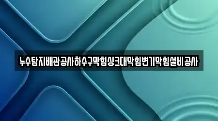 누수탐지배관공사하수구막힘싱크대막힘변기막힘설비공사