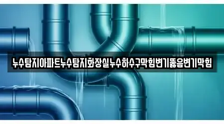 누수탐지아파트누수탐지화장실누수하수구막힘변기뚫음변기막힘