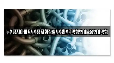 누수탐지아파트누수탐지화장실누수하수구막힘변기뚫음변기막힘