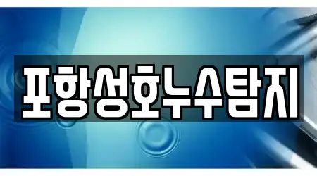 포항성호누수탐지