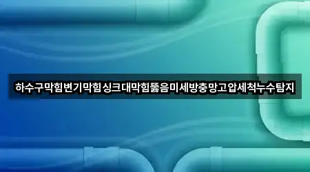 하수구막힘변기막힘싱크대막힘뚫음미세방충망고압세척누수탐지