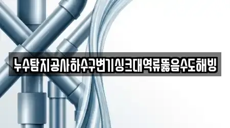 누수탐지공사하수구변기싱크대역류뚫음수도해빙