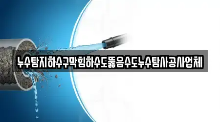 누수탐지하수구막힘하수도뚫음수도누수탐사공사업체