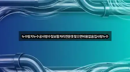 누수탐지누수공사방수및보험처리전문못찾으면비용없음집사랑누수