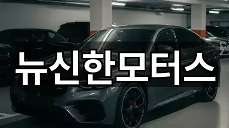 뉴신한모터스