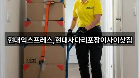 현대익스프레스,현대사다리포장이사이삿짐