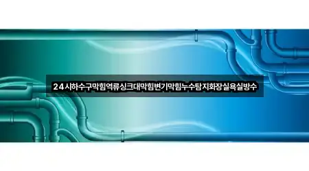 24시하수구막힘역류싱크대막힘변기막힘누수탐지화장실욕실방수