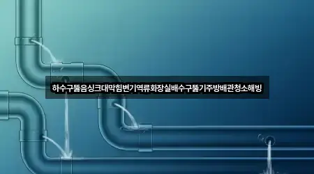 하수구뚫음싱크대막힘변기역류화장실배수구뚫기주방배관청소해빙