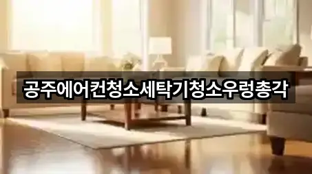 공주에어컨청소세탁기청소우렁총각