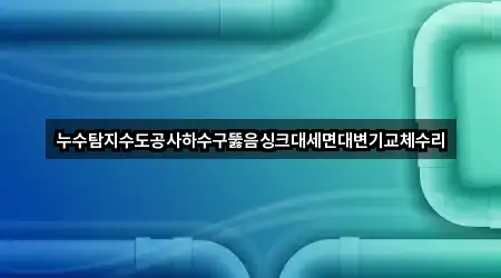 누수탐지수도공사하수구뚫음싱크대세면대변기교체수리