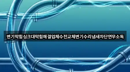 변기막힘싱크대막힘해결업체수전교체변기수리냄새차단연무소독