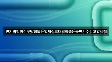 변기막힘하수구막힘뚫는업체싱크대막힘뚫는곳변기수리고압세척