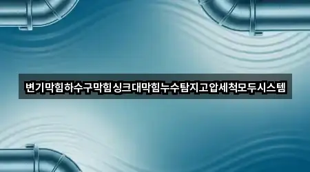 변기막힘하수구막힘싱크대막힘누수탐지고압세척모두시스템