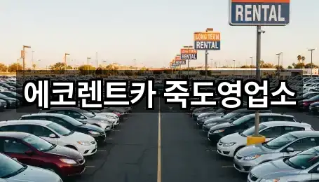 에코렌트카 죽도영업소
