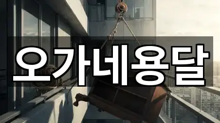 오가네용달