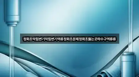 정화조막힘변기막힘변기역류정화조문제정화조뚫는곳하수구역류류