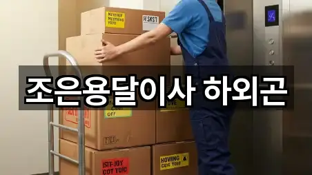 조은용달이사 하외곤