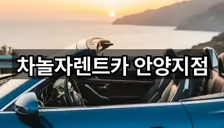 차놀자렌트카 안양지점