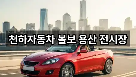 실시간 업데이트: 신창동 자동차전시장 5곳