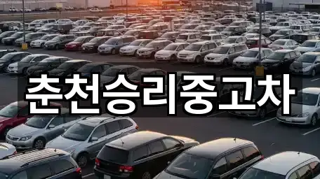 춘천승리중고차