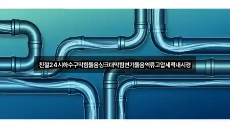 친절24시하수구막힘뚫음싱크대막힘변기뚫음역류고압세척내시경