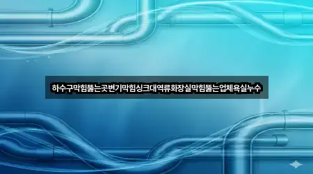하수구막힘뚫는곳변기막힘싱크대역류화장실막힘뚫는업체욕실누수