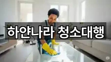 하얀나라 청소대행