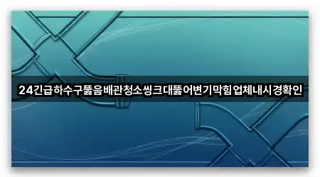 24긴급하수구뚫음배관청소씽크대뚫어변기막힘업체내시경확인