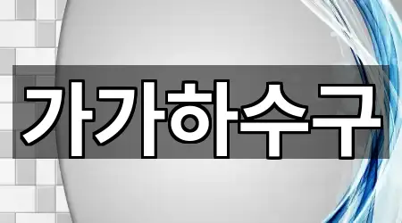 가가하수구