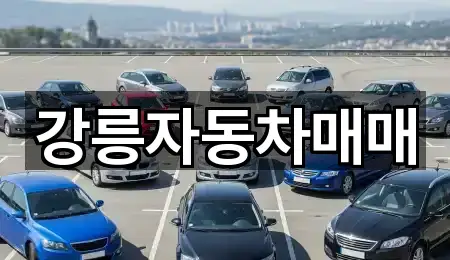 강릉자동차매매