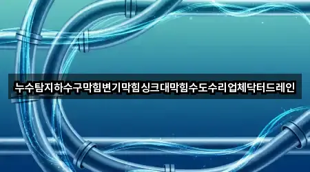 누수탐지하수구막힘변기막힘싱크대막힘수도수리업체닥터드레인