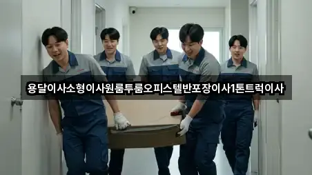 용달이사소형이사원룸투룸오피스텔반포장이사1톤트럭이사