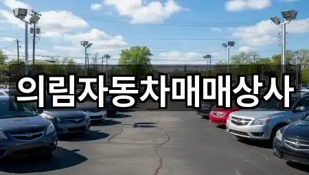 의림자동차매매상사