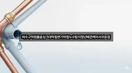 하수구막힘뚫음싱크대막힘변기막힘누수탐지청년배관케어서귀포점