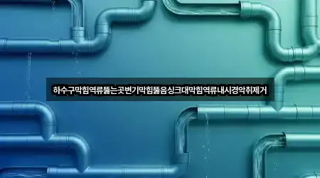 하수구막힘역류뚫는곳변기막힘뚫음싱크대막힘역류내시경악취제거