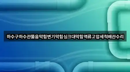 하수구하수관뚫음막힘변기막힘싱크대막힘역류고압세척배관수리