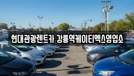 강원 강릉시 내곡동 렌트카 전문 현대관광렌트카 강릉역케이티엑스영업소